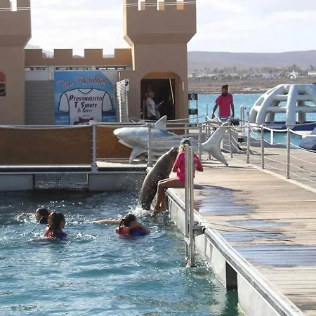 Apartment Dolphin Fuerteventura *